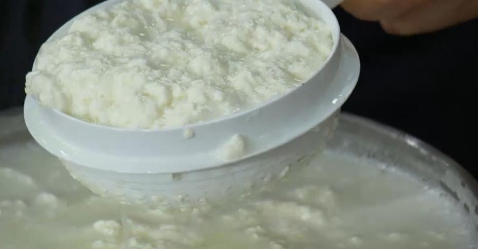 Адыгейский сыр из молока в домашних условиях