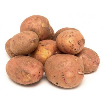 картофель описание
