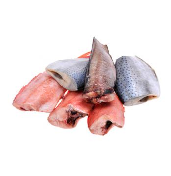 Необычная морская курица или обыкновенна тилапия: а вы знали, что это названия одной рыбы?
